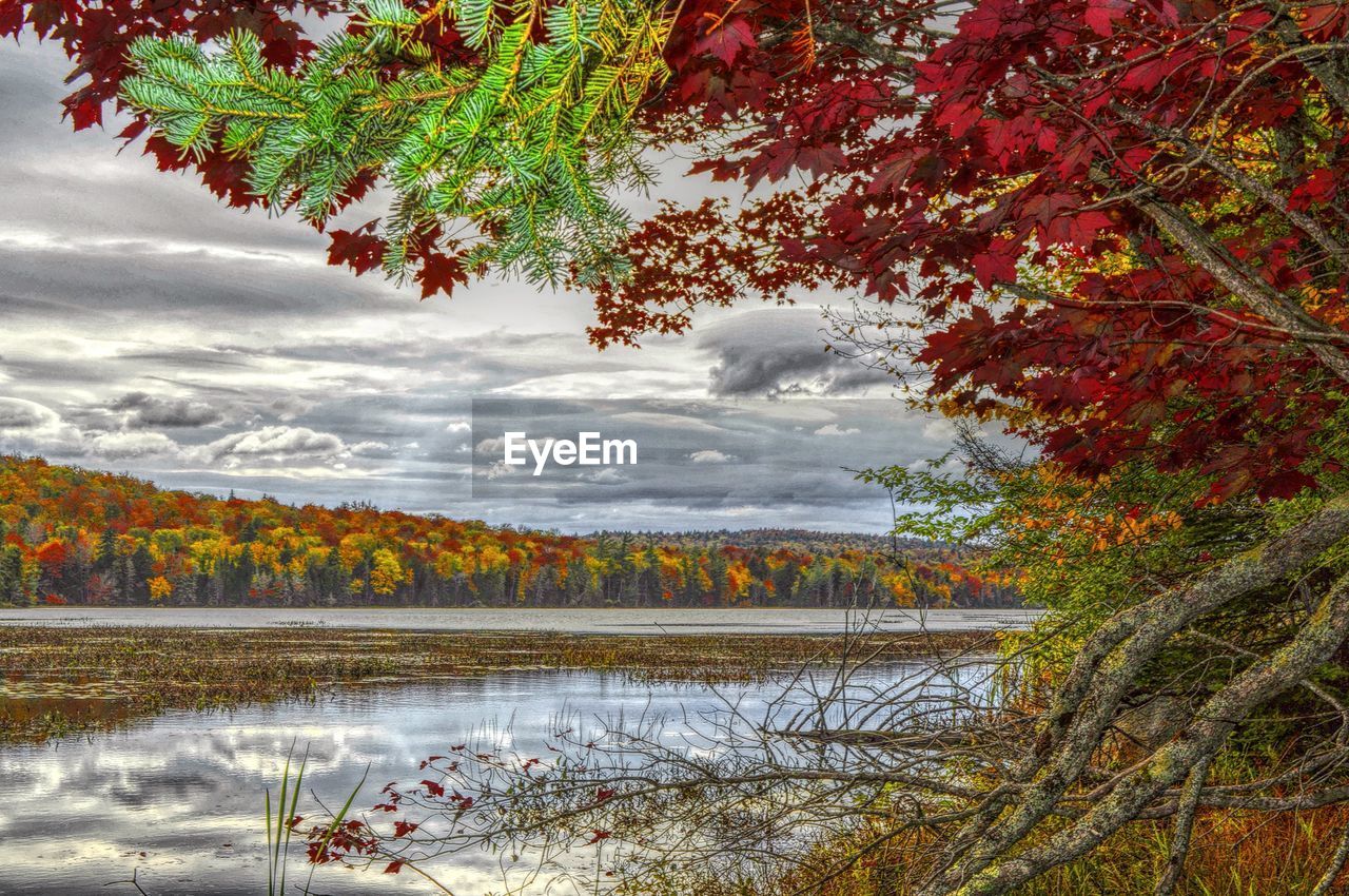 Scenic view of lake against sky during autumn