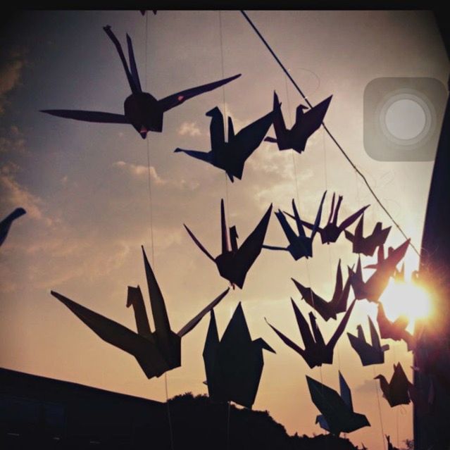 LOW ANGLE VIEW OF BIRDS FLYING OVER SKY