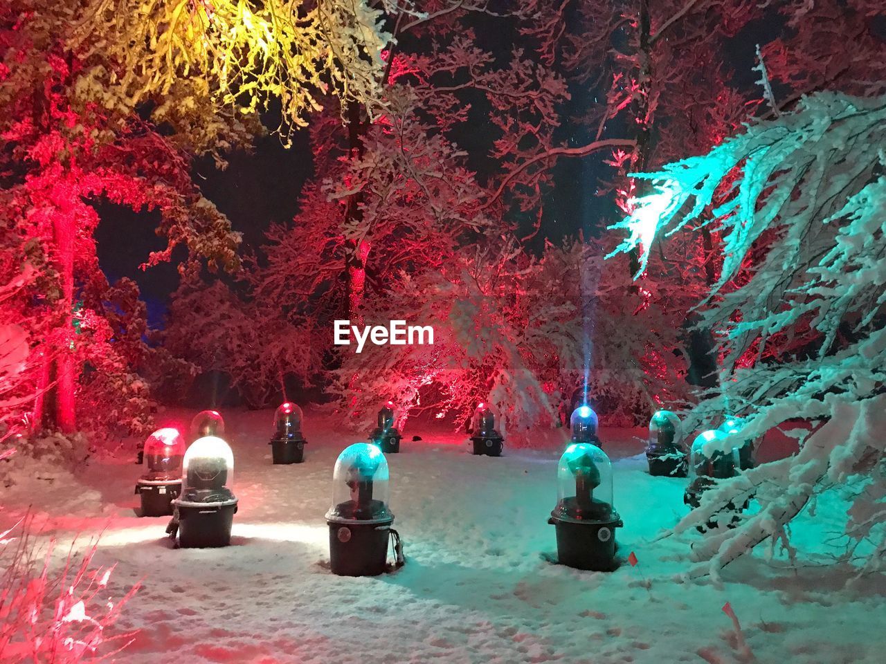 VIEW OF CHRISTMAS TREE AT NIGHT DURING AUTUMN