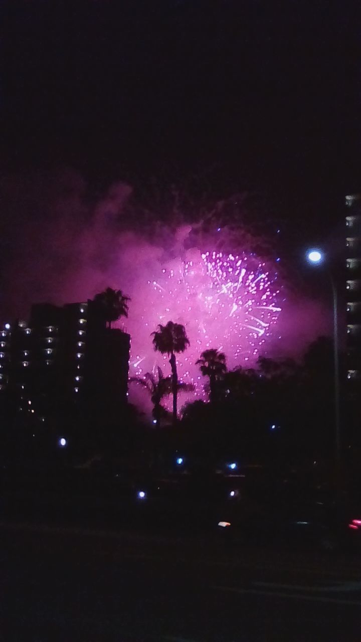 FIREWORK DISPLAY OVER ILLUMINATED CITY