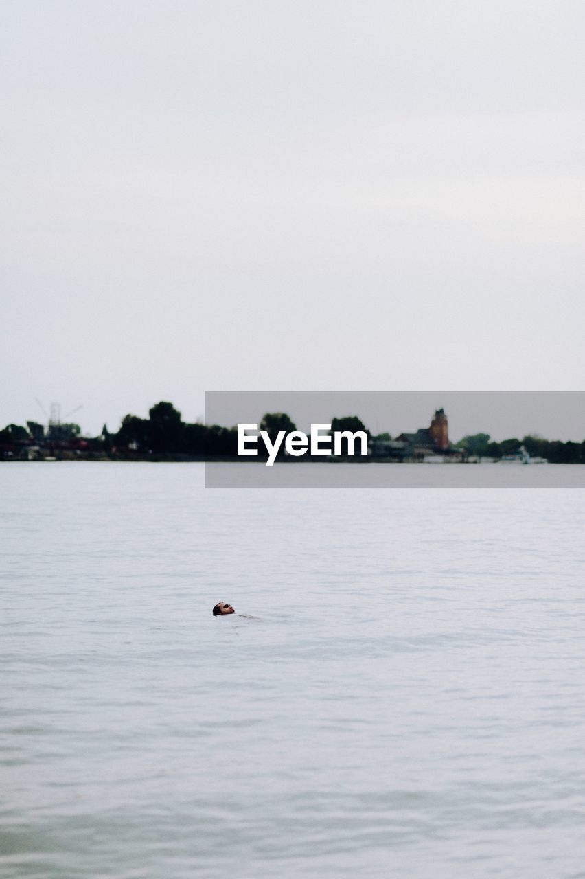 VIEW OF BIRDS IN THE LAKE