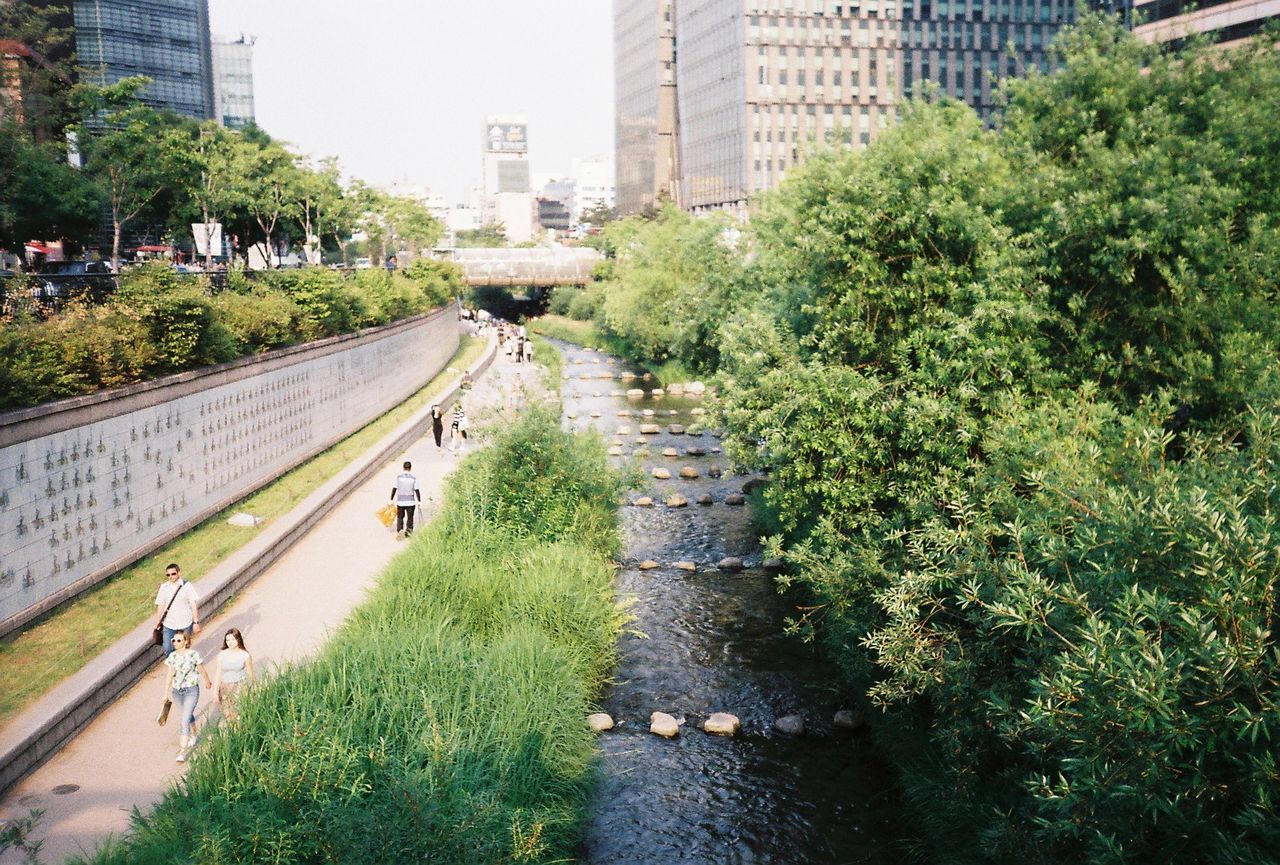 Road passing through city