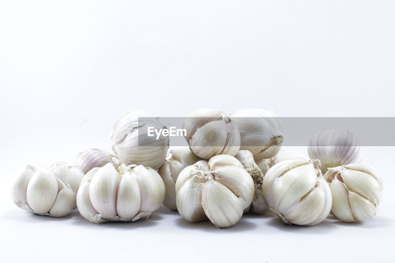 CLOSE-UP OF WHITE BEANS AGAINST GRAY BACKGROUND