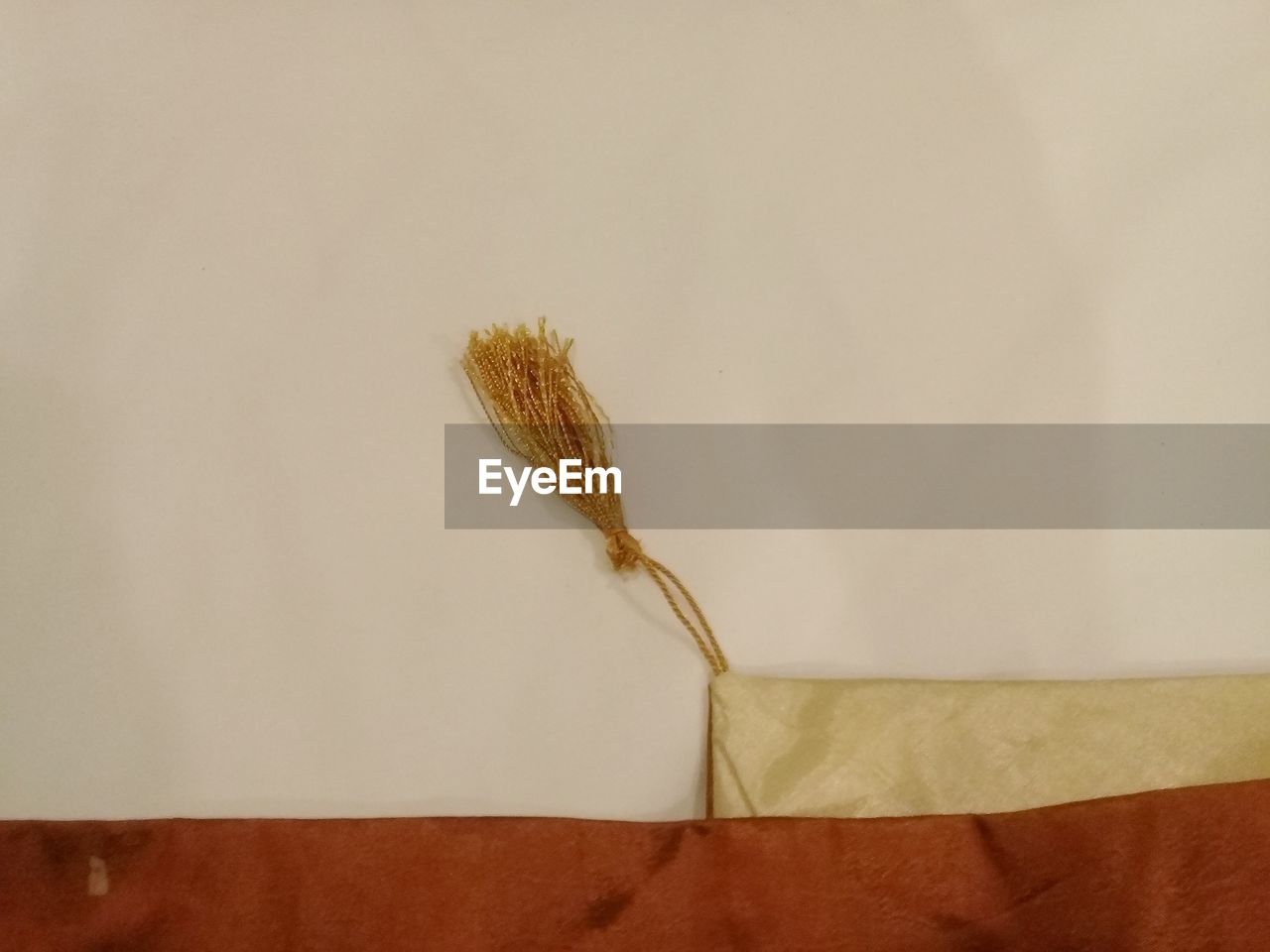 CLOSE-UP OF PLANT AGAINST WALL