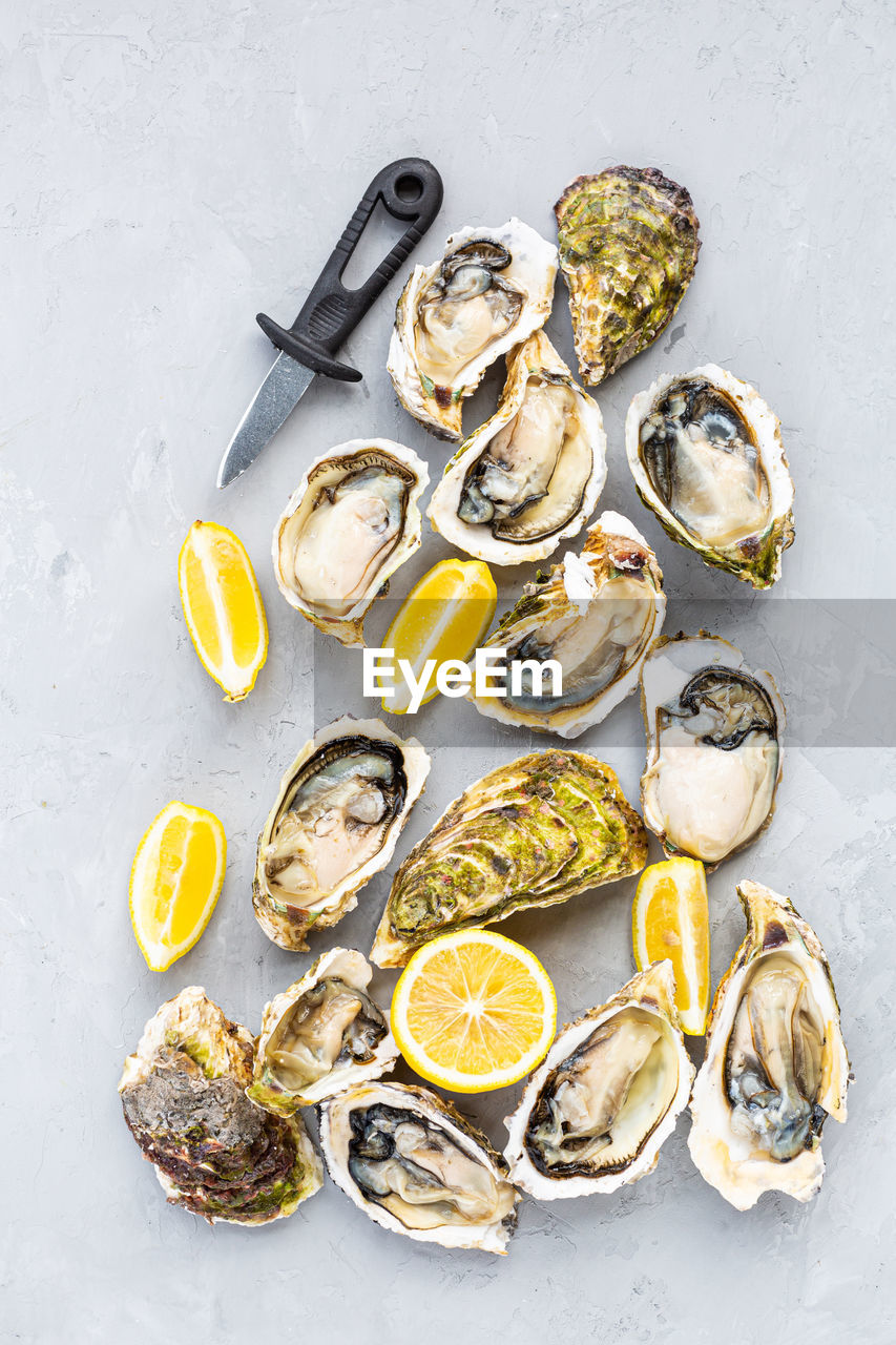 food, food and drink, citrus fruit, lemon, healthy eating, fruit, yellow, oyster, studio shot, wellbeing, freshness, seafood, high angle view, indoors, no people, directly above, knolling - concept, slice, still life, mussel, animal