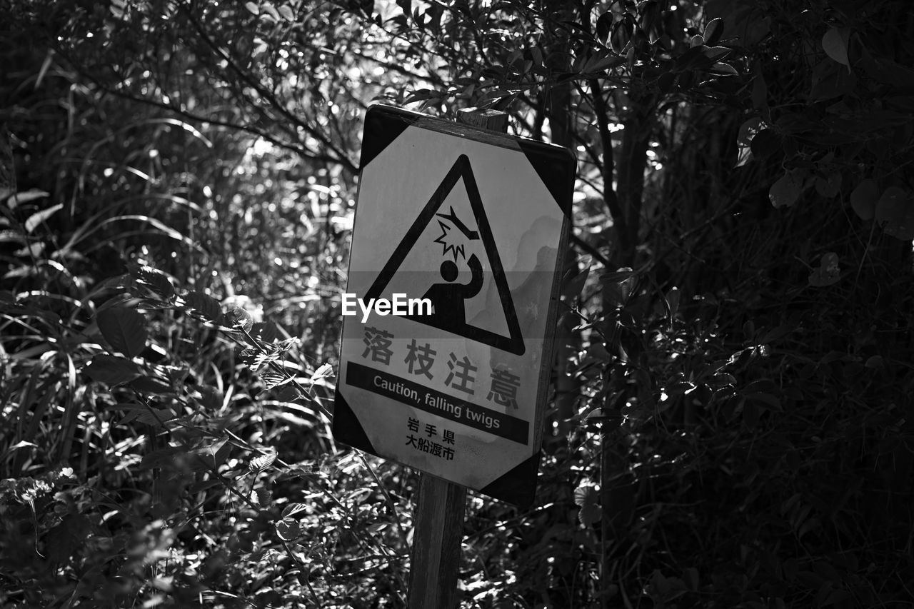 INFORMATION SIGN BY TREE