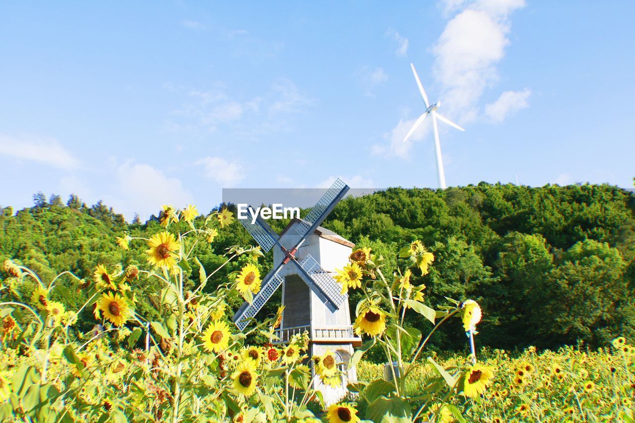 Traditional windmill on field against sky