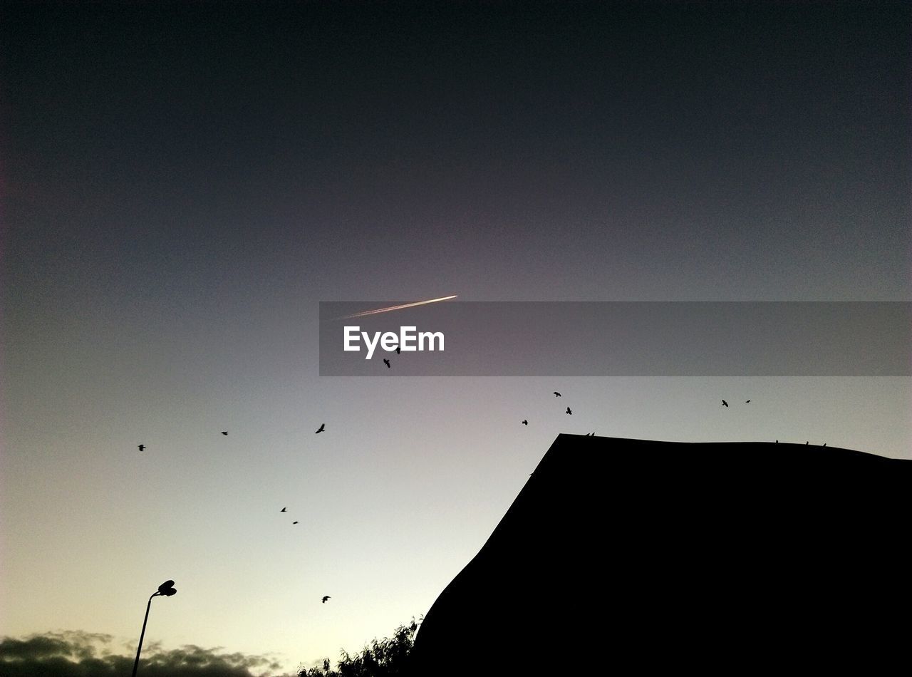 LOW ANGLE VIEW OF SILHOUETTE BIRDS FLYING AGAINST SKY DURING SUNSET