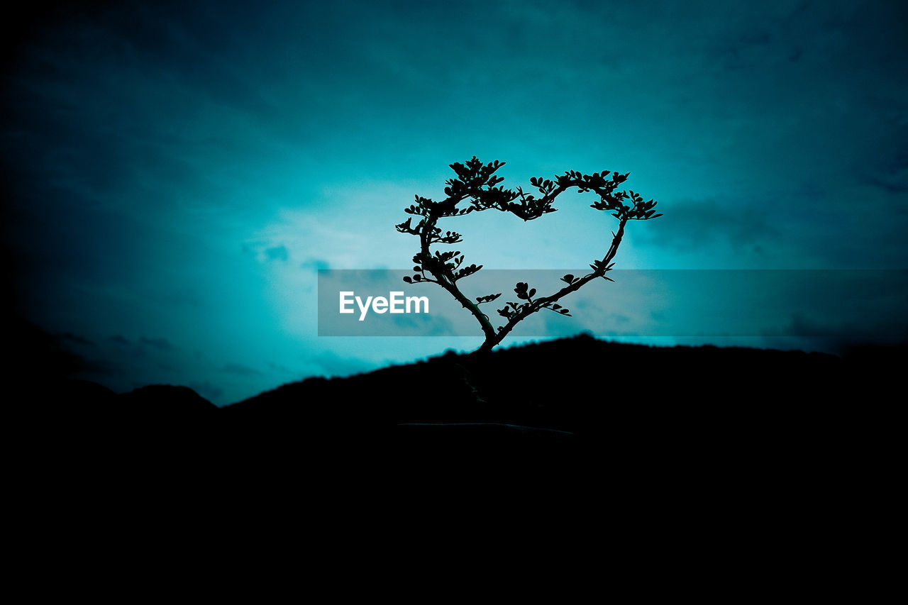 LOW ANGLE VIEW OF SILHOUETTE PLANT AGAINST SKY