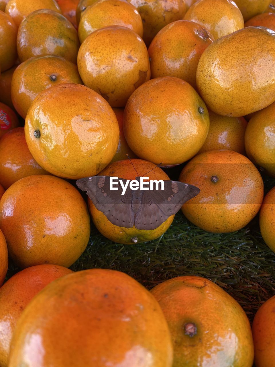 Full frame shot of fruits for sale in market