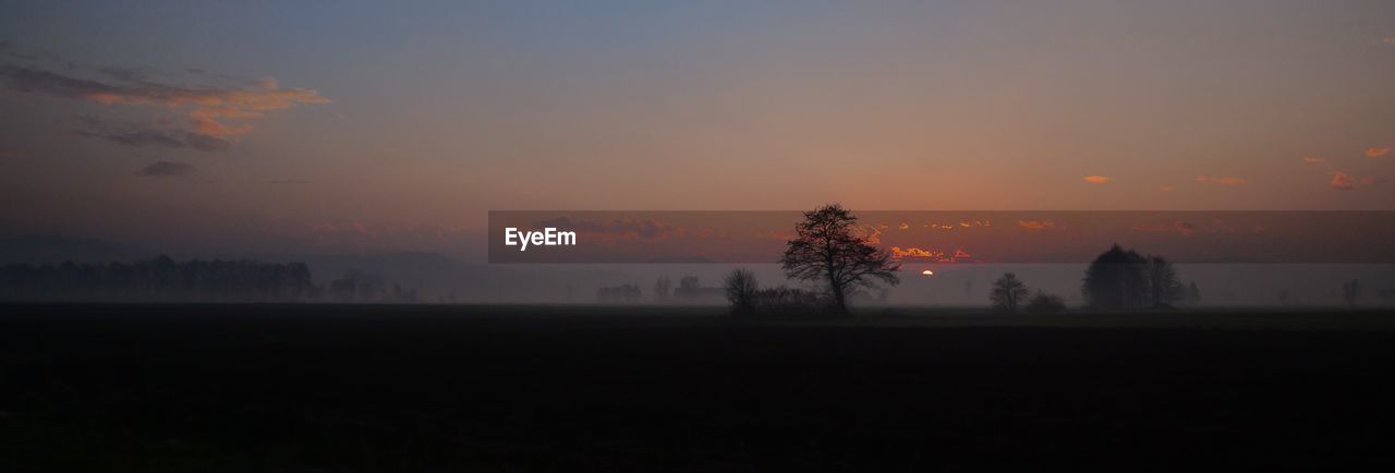 SILHOUETTE TREES ON FIELD AGAINST ORANGE SKY DURING SUNSET