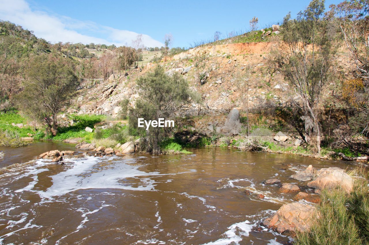 TREES BY STREAM AGAINST SKY