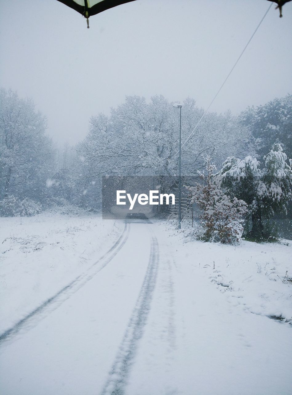 Empty snowcapped road amidst trees during winter