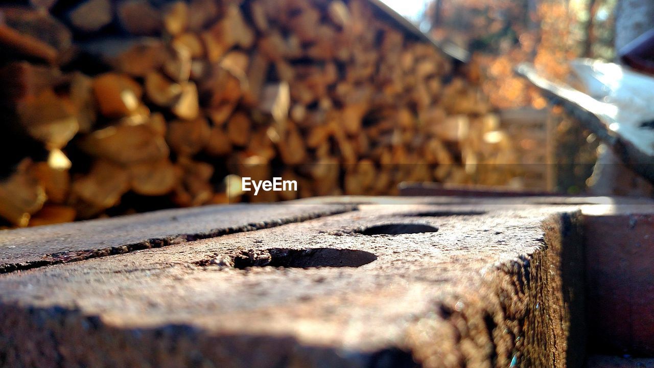 Close-up of stone against logs