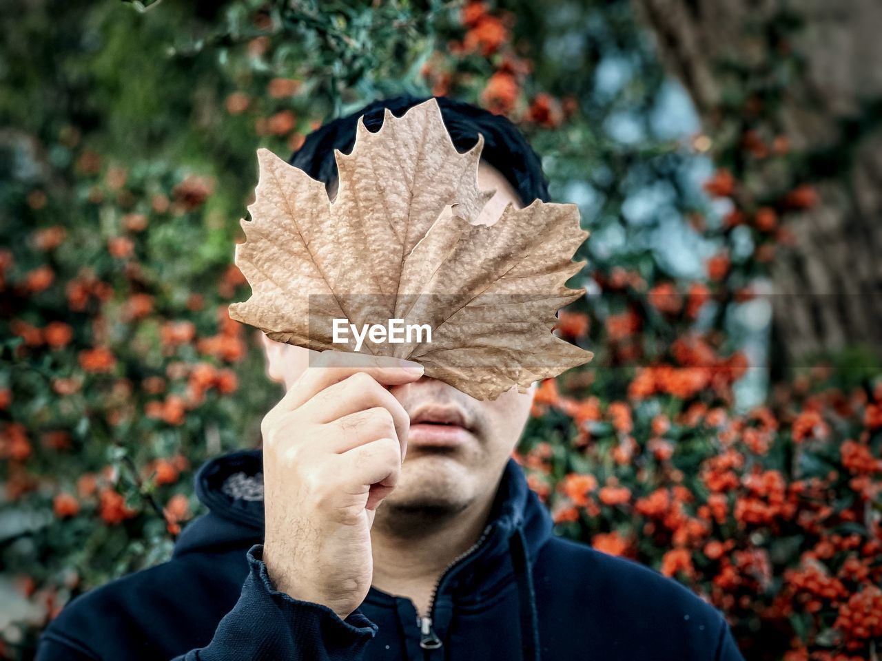 Midsection of man holding dried leaf against orange rowan berries and trees in autumn.