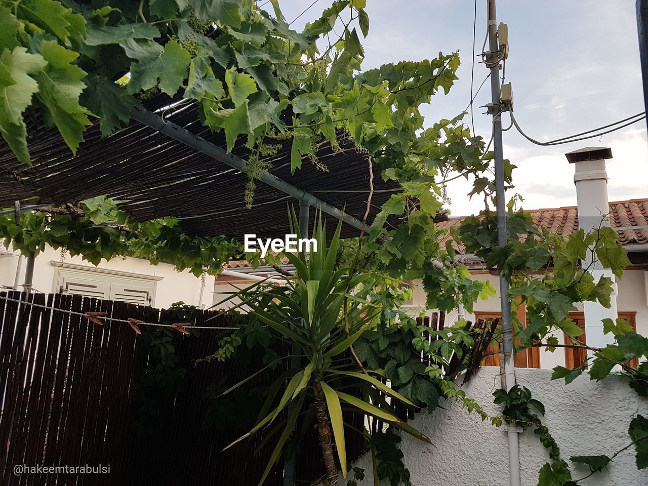 A quick capture of my room's balcony in hydra, greece.