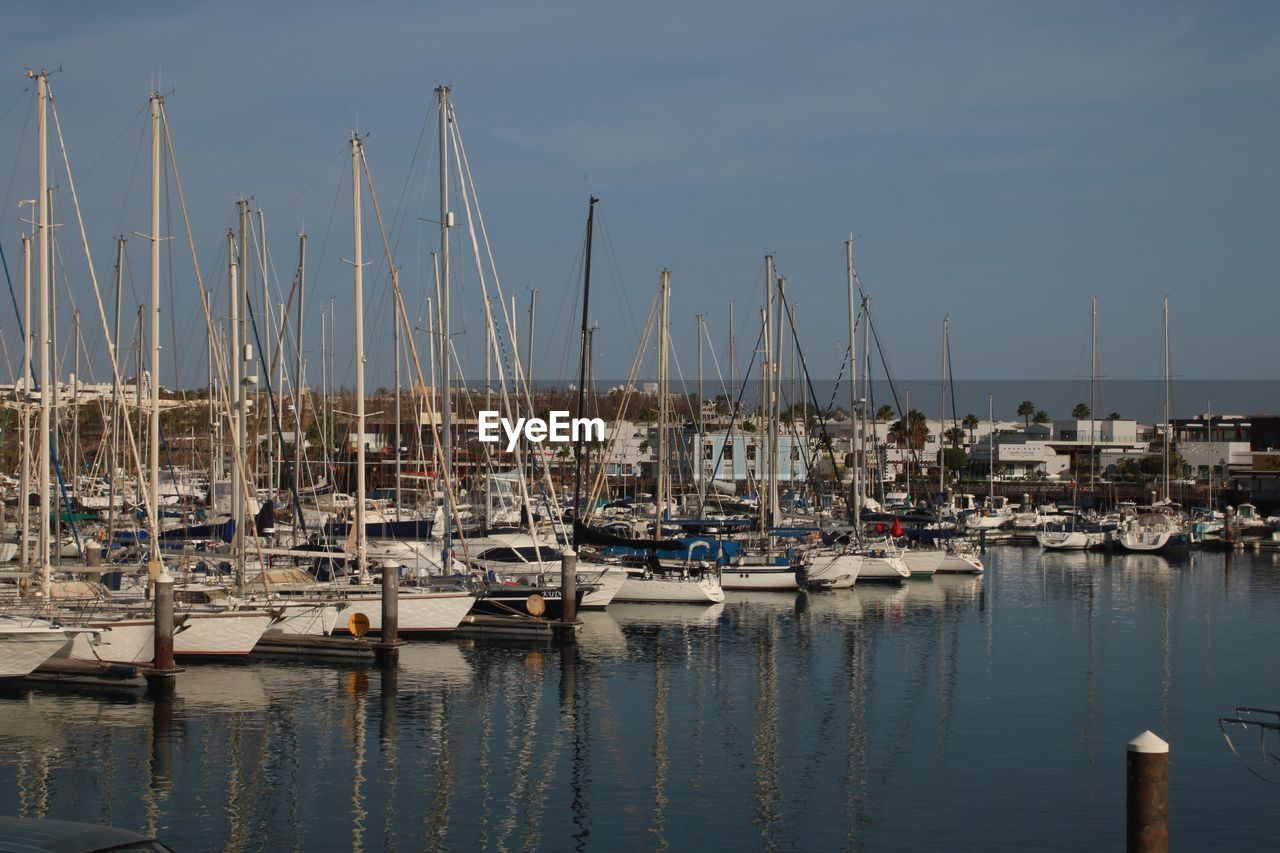 Sailboats in marina