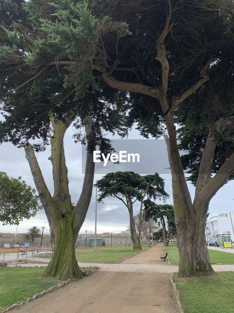 tree, plant, nature, water, architecture, no people, built structure, day, outdoors, tree trunk, trunk, growth, environment, reflection, beauty in nature, building, lake, green, tranquility, building exterior, travel