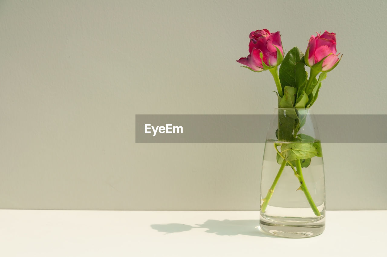 CLOSE-UP OF FLOWER VASE ON TABLE