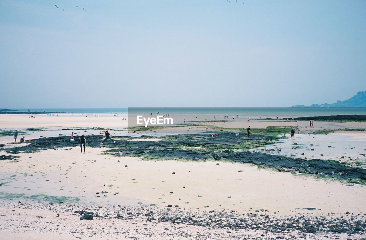 Scenic view of beach against clear sky