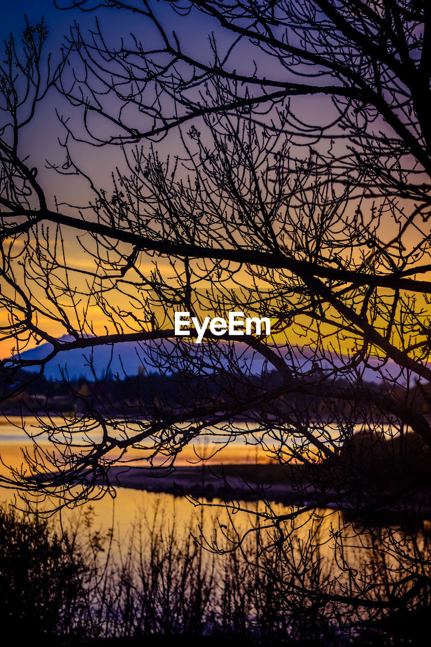 SILHOUETTE BARE TREE BY LAKE AGAINST SKY AT SUNSET