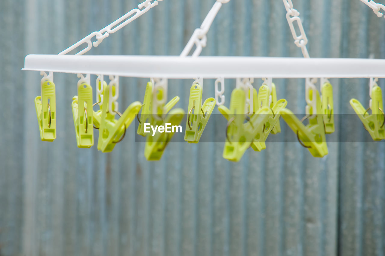 CLOSE-UP OF YELLOW PLANTS HANGING ON FENCE