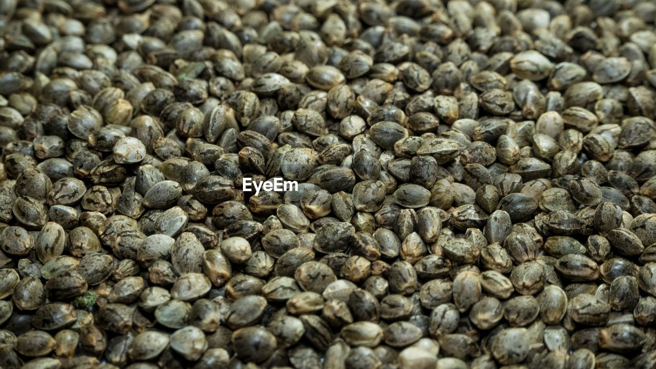 Full frame shot of hemp seeds