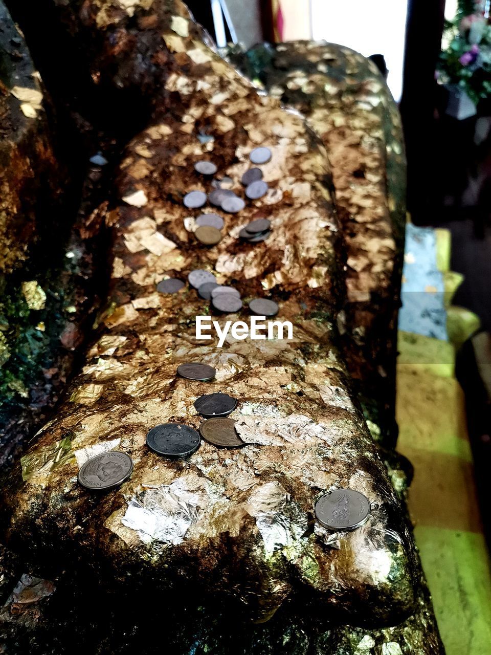 CLOSE-UP OF TREE TRUNK