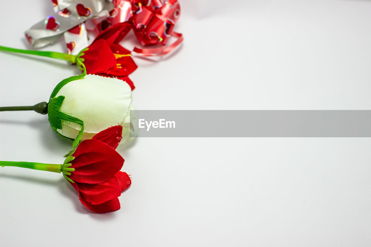 HIGH ANGLE VIEW OF RED ROSES IN WHITE BACKGROUND