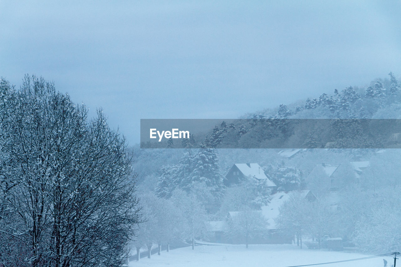 winter, cold temperature, snow, tree, scenics - nature, environment, nature, beauty in nature, plant, freezing, landscape, mountain, frozen, no people, sky, land, blizzard, forest, tranquil scene, coniferous tree, travel, winter storm, tranquility, non-urban scene, pine tree, fog, pinaceae, snowing, white, travel destinations, outdoors, blue, day, ice, pine woodland, piste, snowcapped mountain, extreme weather, holiday, tourism, transportation, mountain range
