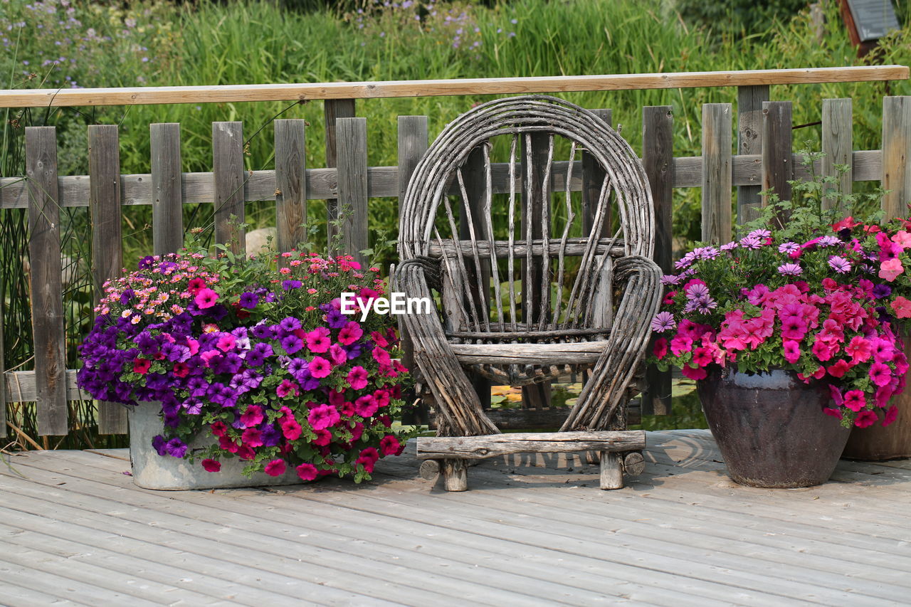 Wooden chair amidst flower pots at porch