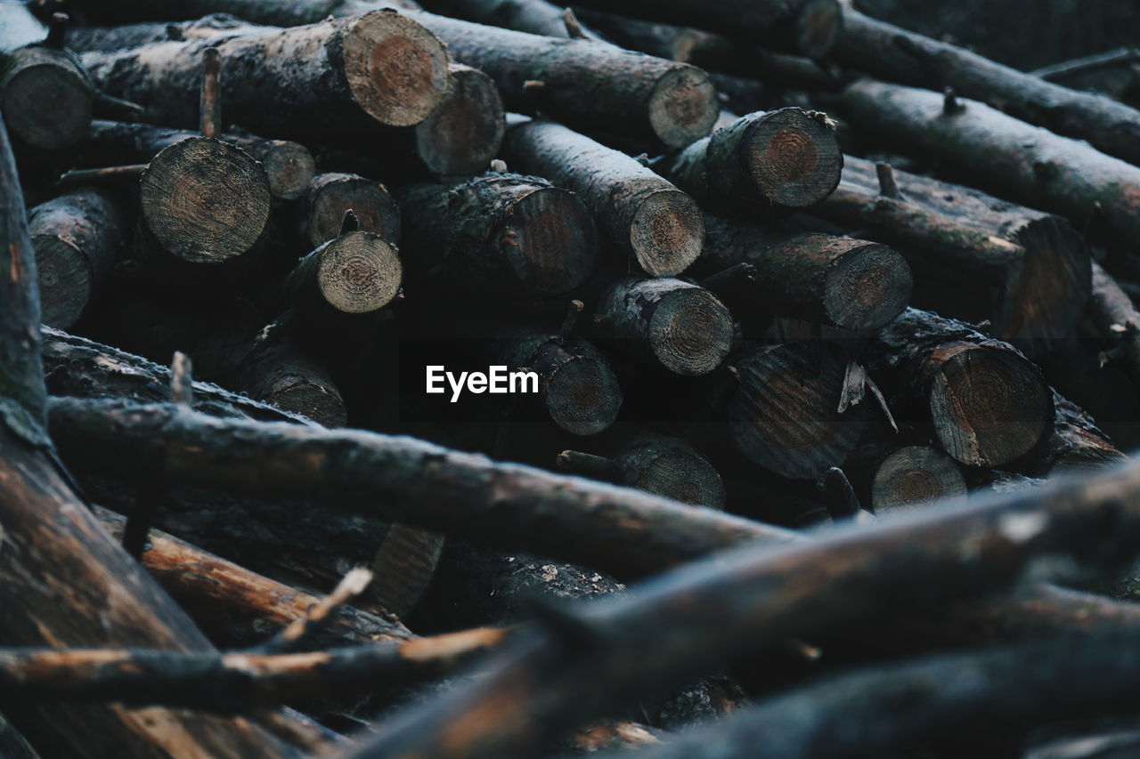 Stack of logs