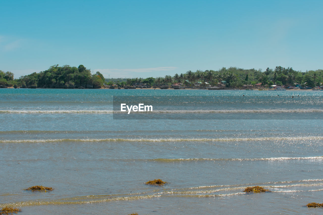 SCENIC VIEW OF BEACH AGAINST CLEAR BLUE SKY