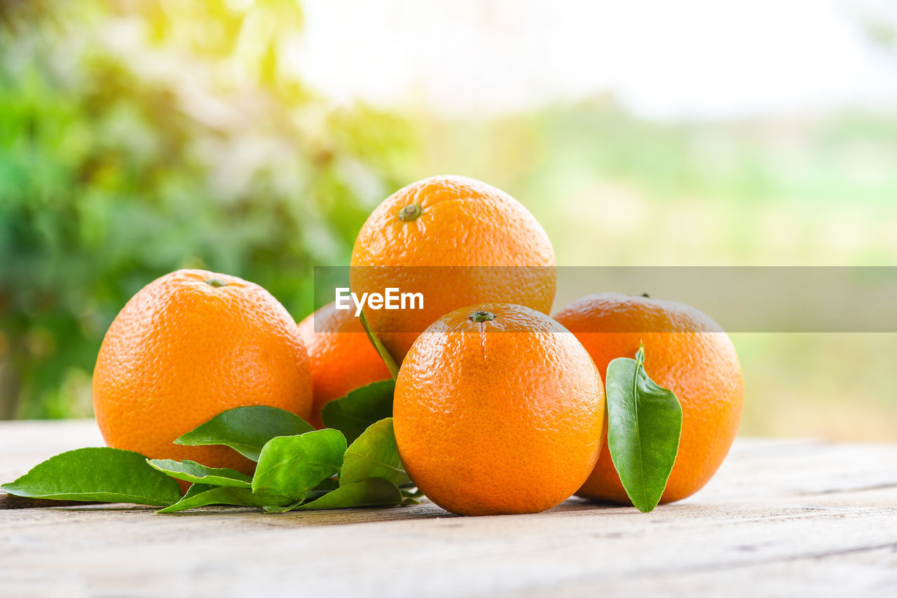 CLOSE-UP OF ORANGE FRUIT ON TABLE