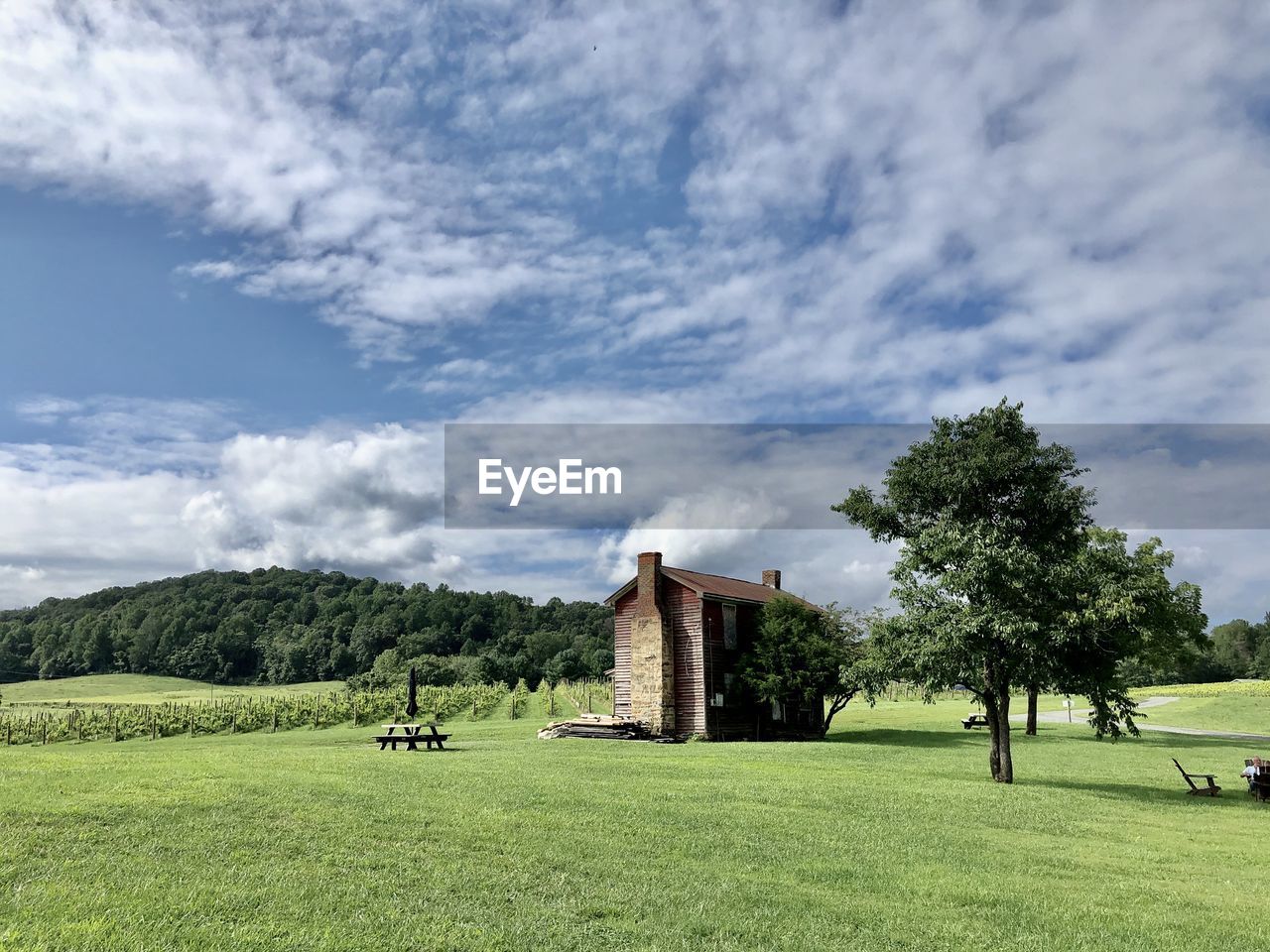 SCENIC VIEW OF GRASSY FIELD AGAINST SKY