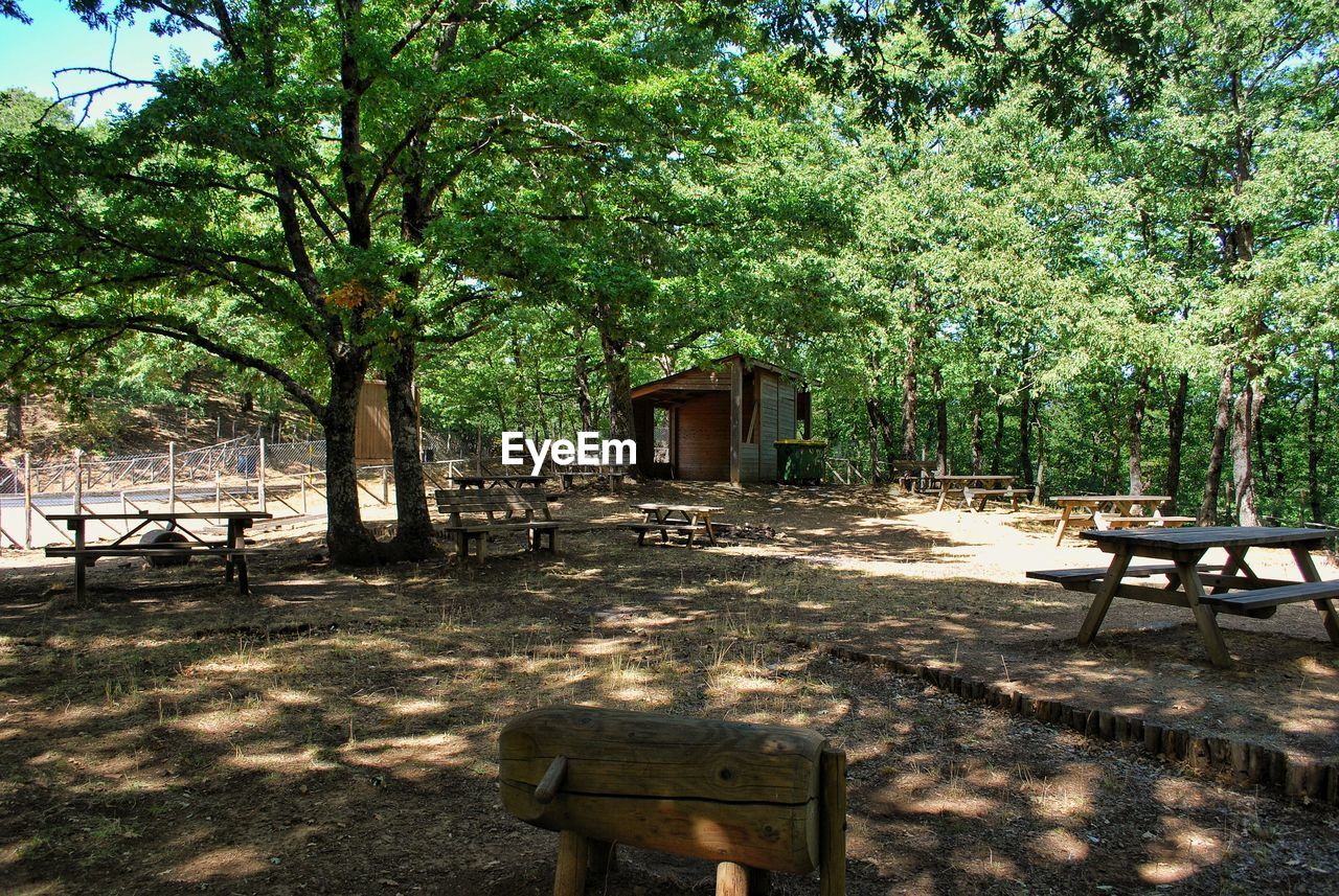 EMPTY TABLE AND CHAIRS BY TREES