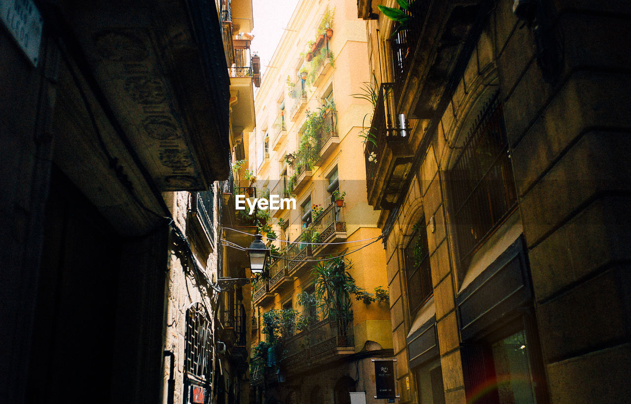 Low angle view of buildings in city