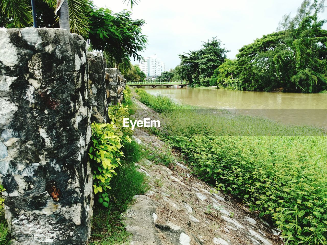 SCENIC VIEW OF FARM