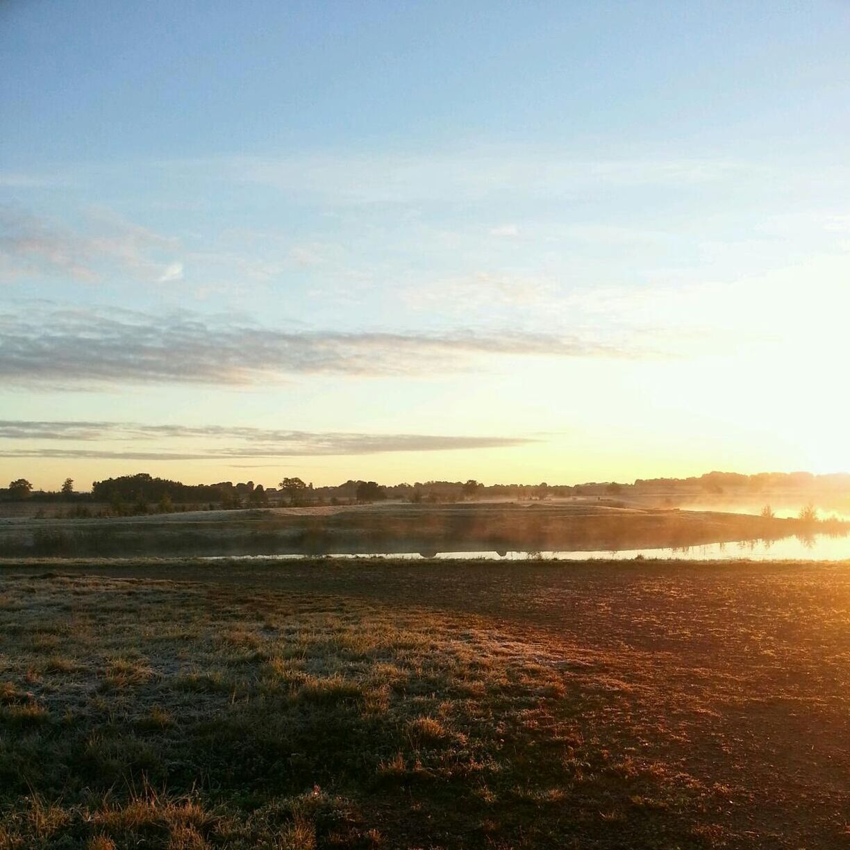 SCENIC VIEW OF SUNSET OVER FIELD