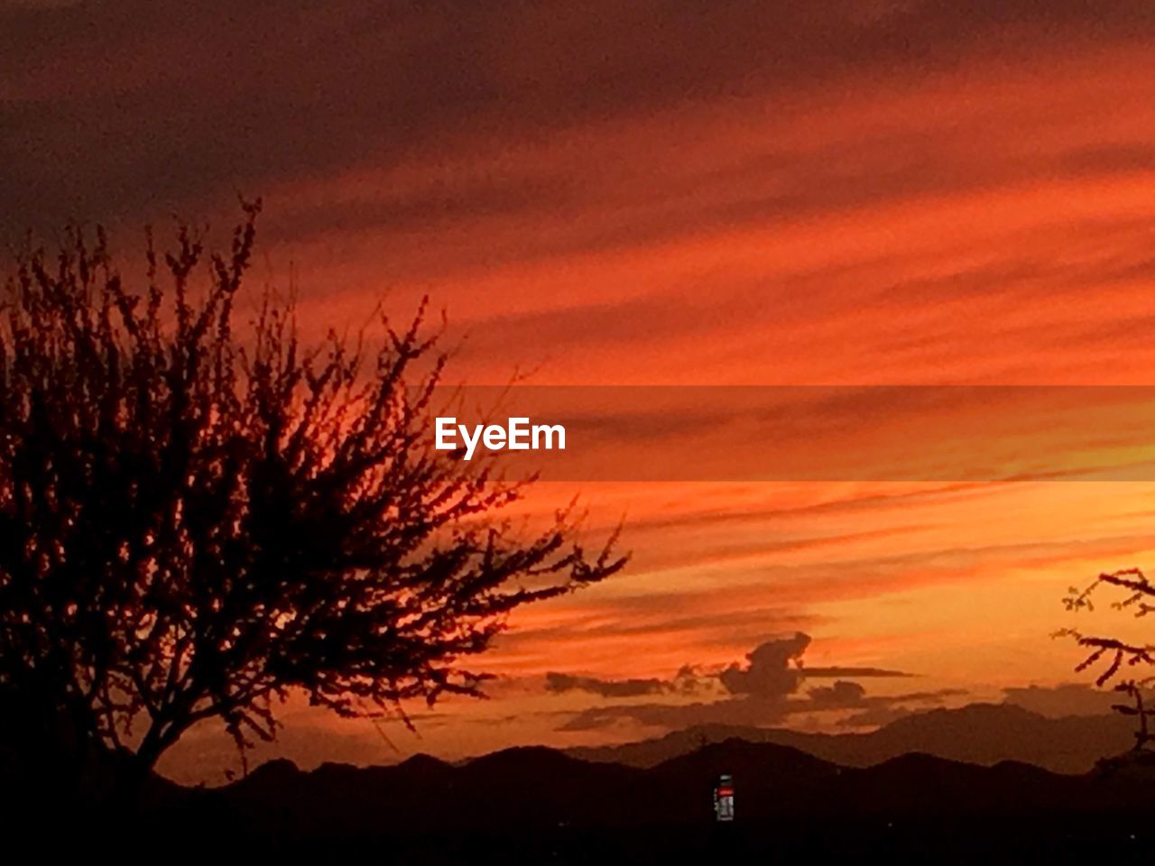 SILHOUETTE TREE AGAINST DRAMATIC SKY DURING SUNSET