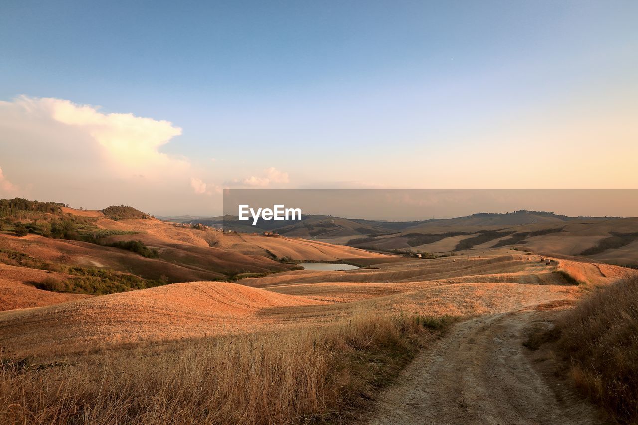 Scenic view of agricultural field against sky during sunset