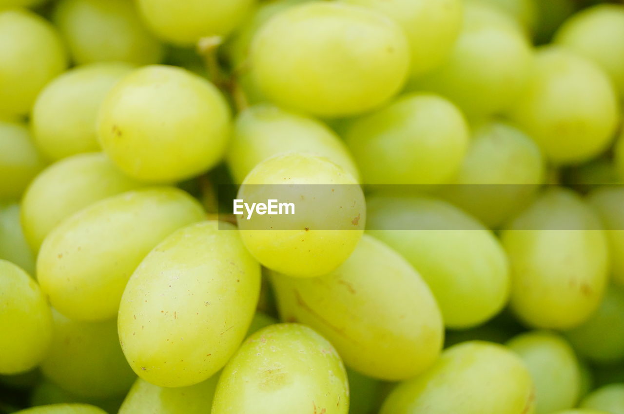 FULL FRAME SHOT OF FRUITS