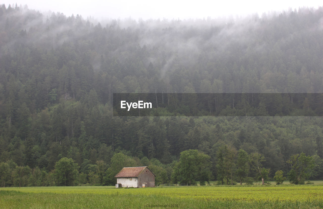 Scenic view of farm against trees