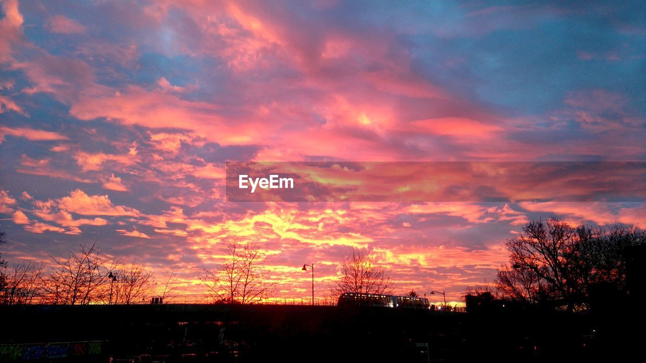 LOW ANGLE VIEW OF DRAMATIC SKY OVER SILHOUETTE TREES