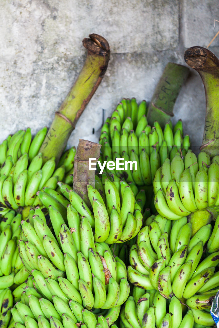 HIGH ANGLE VIEW OF FRESH GREEN FRUITS