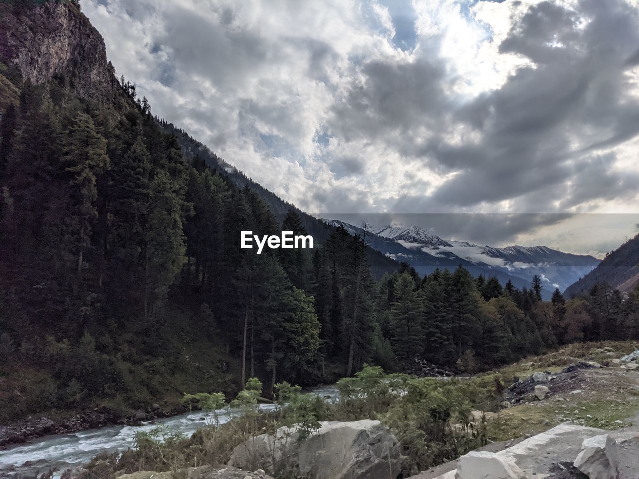 SCENIC VIEW OF TREES AND MOUNTAINS AGAINST SKY