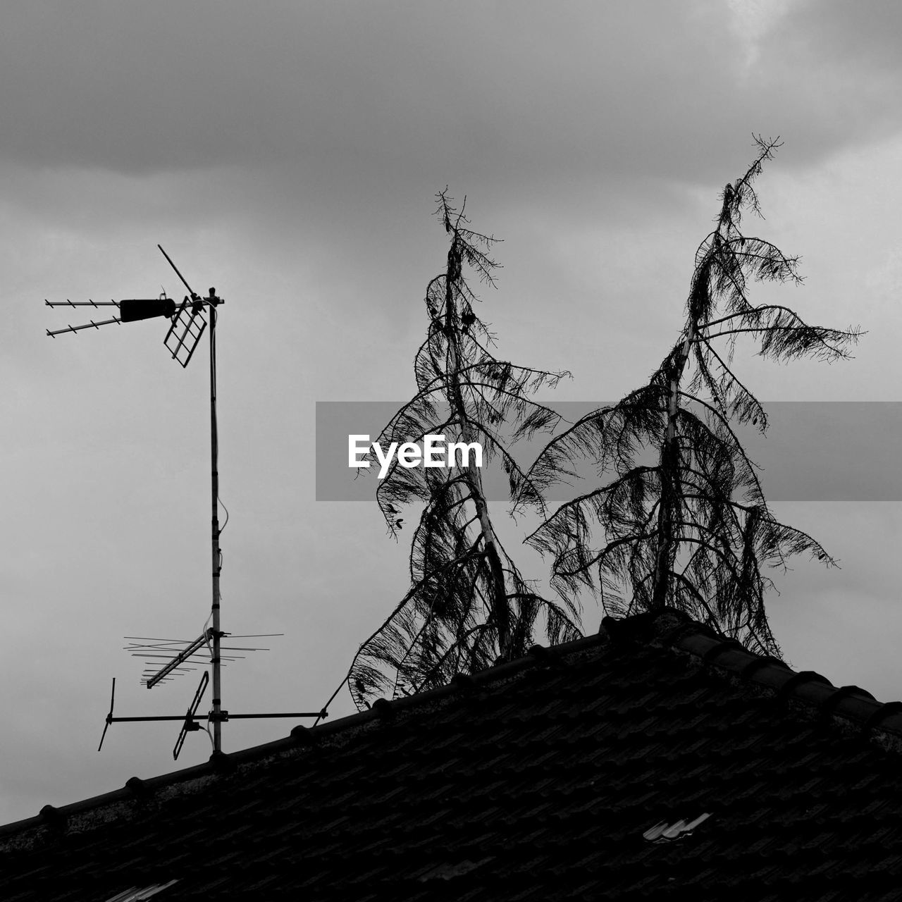 black and white, monochrome, architecture, sky, wind, monochrome photography, built structure, television antenna, roof, nature, low angle view, no people, antenna, building exterior, cloud, building, television aerial, windmill, outdoors, black, technology, house, weather vane, history, environment, darkness, day, communication, the past, silhouette