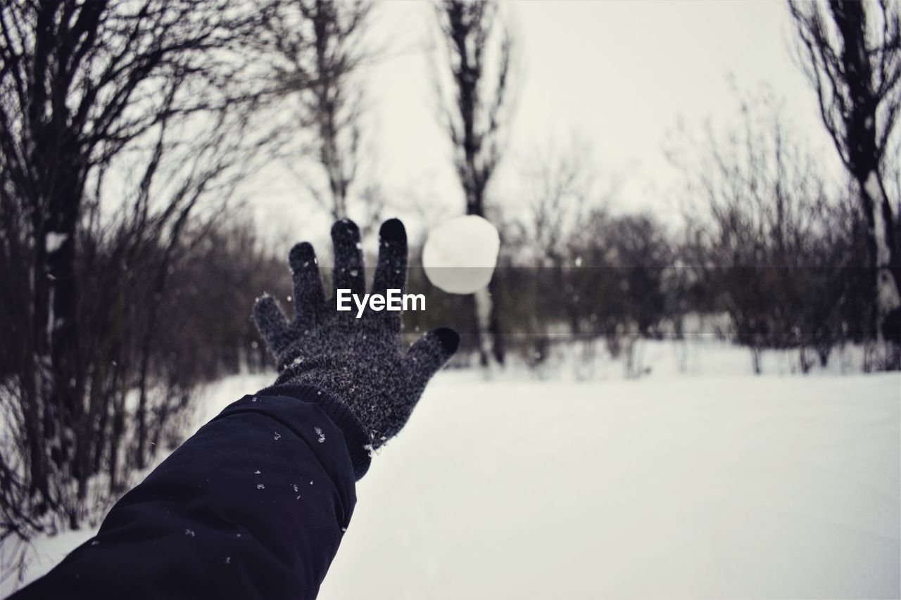 Person hand throwing snow on tree during winter