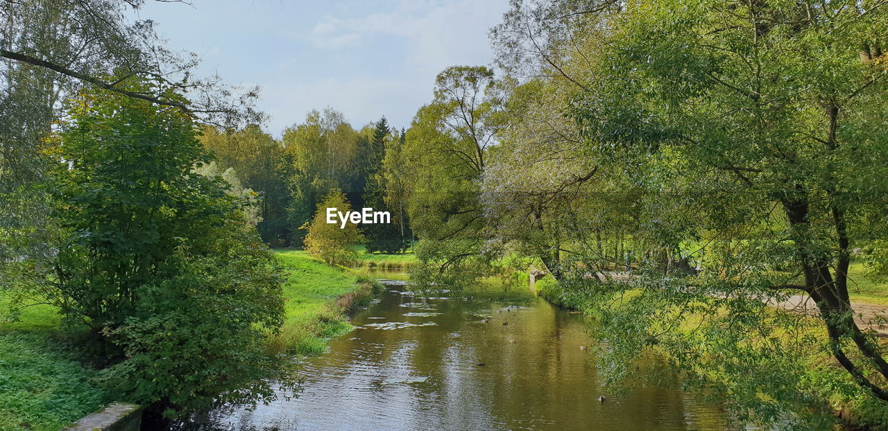 SCENIC VIEW OF RIVER FLOWING IN FOREST AGAINST SKY