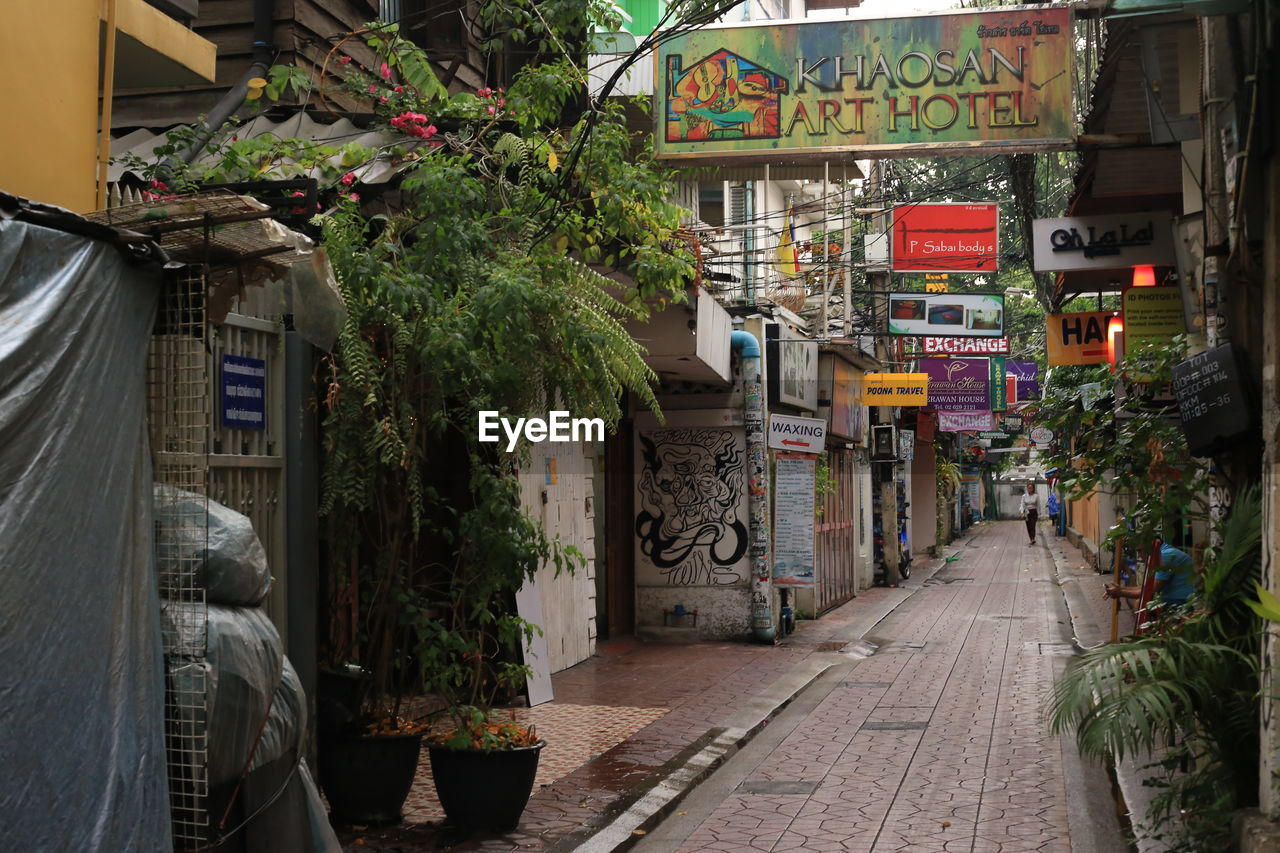 POTTED PLANTS ON STREET AMIDST BUILDINGS